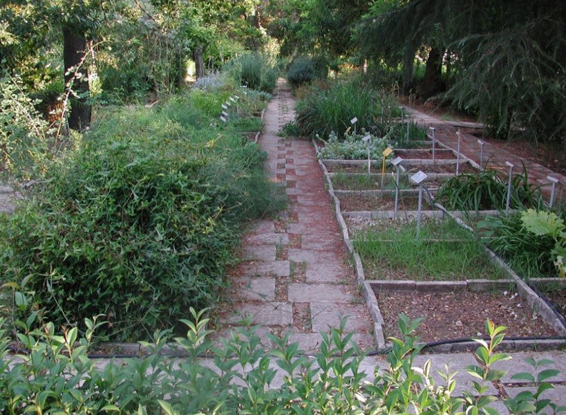 Orto Botanico dell'Università di Bari, Bari, Metropolitan City of Bari, Italy, Italy